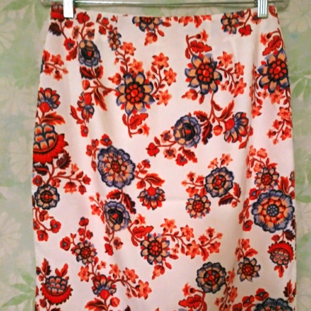 Ann Taylor Skirt